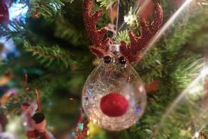 Rudolph rosso naso renna bicchiere mano fatto Natale palla su natale albero dettaglio sfocatura luci foto