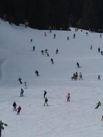 molti sciatori sciare nel dolomiti giardino valle neve montagne foto