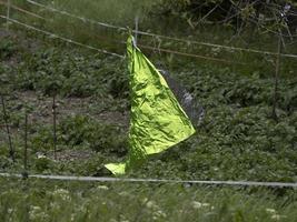 metallo foglio spaventapasseri nel un' campo foto