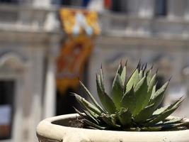 palazzolo acreide sicilia barocco villaggio foto