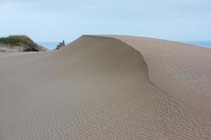 sabbia dune vicino il mare spiaggia foto