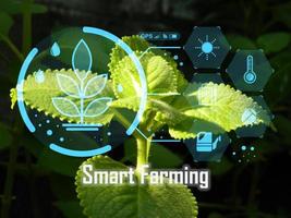 concetto inteligente agricoltura tecnologia gestione foto