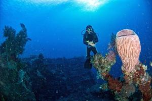 autorespiratore tuffatore subacqueo vicino gigante spugna nel il oceano foto