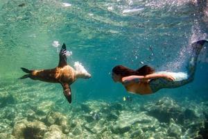 sirena nuoto subacqueo nel il in profondità blu mare con un' foca foto