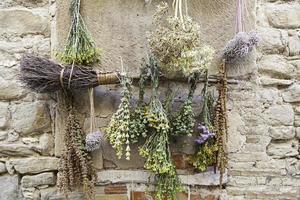 essiccazione erbe aromatiche nel strada foto