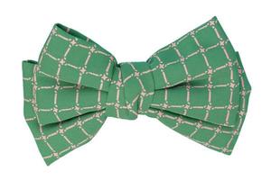 4785 verde arco cravatta isolato su un' trasparente sfondo foto