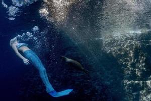 bionda bellissimo sirena e mare Leone foto