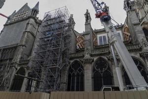 notre dama Parigi sotto restauro foto