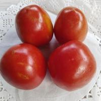 fresco pomodori per cucinando foto