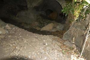 vendicari bizantino necropoli antico tombe nel sicilia foto