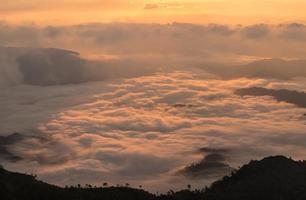 il bellissimo mare nebbia copertina il montanaro montagne di nome phu chi dao collocato nel chiang rai Provincia nel il settentrionale regione di Tailandia. foto