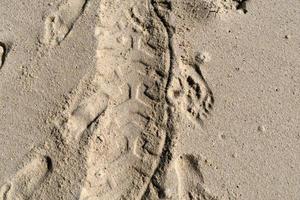 fuori strada pneumatico traccia su sabbioso spiaggia foto