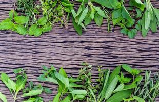 erbe verdi fresche su fondo rustico in legno foto