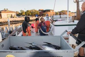 san diego, Stati Uniti d'America - novembre 17, 2015 - pesca barca scarico tonno a Alba foto