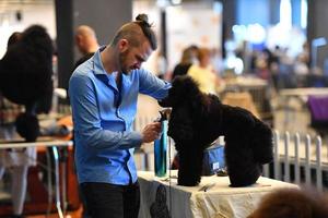 Genova, Italia - Maggio 21 2016 - annuale pubblico internazionale cane mostrare foto