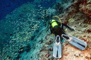 farfalla pesce mentre autorespiratore immersione nel Maldive foto