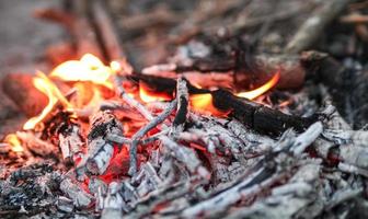 falò nel inverno , ardente fuoco contro il freddo mattina vento. foto