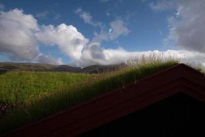 erba tetto nel Faroe foto