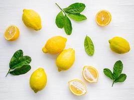limoni e foglie su bianco
