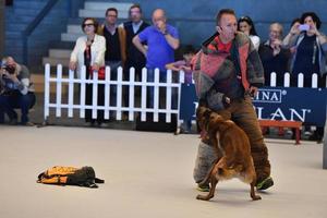 Genova, Italia - Maggio 21 2016 - annuale pubblico internazionale cane mostrare foto