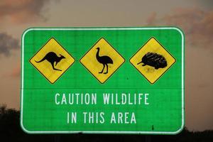 attenzione natura nel Questo la zona Australia cartello foto