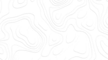 bianca carta tagliare bianca sfondo. astratto realistico papercut decorazione strutturato con ondulato strati e ombra. topografica contorno carta geografica astratto Tech movimento grafico design. foto