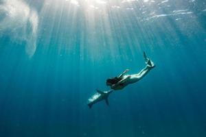 sirena nuoto subacqueo nel il in profondità blu mare con un' foca foto