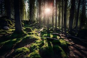 fotografie bellissimo foresta nel primavera con luminosa sole splendente attraverso il alberi fotografia