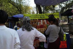 Messico città, febbraio 3 2019 - cittadina parco chapultepec affollato di persone su Domenica foto