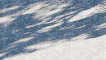 parete struttura ombra albero sfondo astratto design luce del sole foto