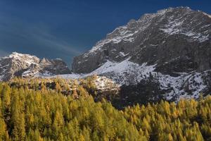 pini su montagna nel autunno stagione foto