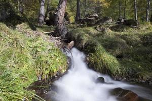 montagna torrente seta nel autunno stagione foto