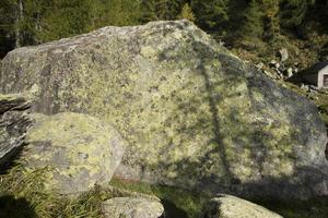 lichene su montagna rocce Visualizza foto