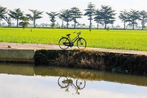 vecchio bicicletta con riso i campi nel il sfondo. foto