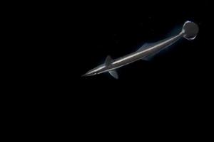 isolato remora pesce ventosa su nero sfondo foto