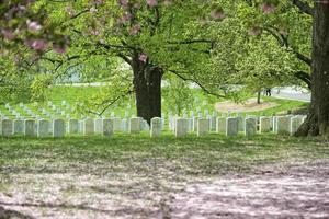 cimitero del cimitero di arlington foto