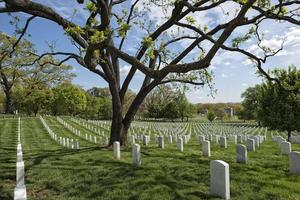 cimitero del cimitero di arlington foto