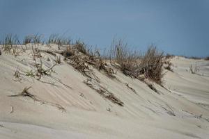 dune di sabbia sulla spiaggia foto