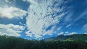 bianca morbido soffice nuvole su blu bellissimo cielo. bianca gonfio paesaggio nuvoloso. cumulo nube struttura sfondo. cielo su soleggiato giorno. puro bianca nuvole bellissimo cielo foto