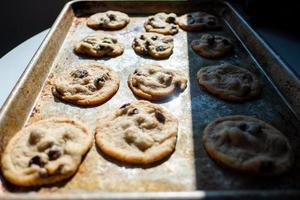 biscotti al cioccolato foto