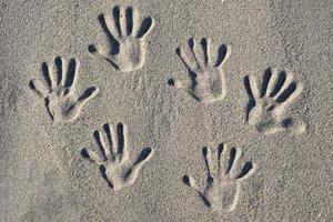 impronte di mani incise nella sabbia in spiaggia foto