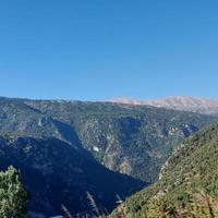 albero paesaggio nel natura montagne foto