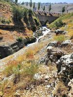 cascate nel il mezzo di il giungla foto