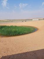 deserto paesaggio con cielo foto