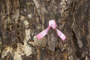 rosa arco su albero internazionale Da donna giorno foto