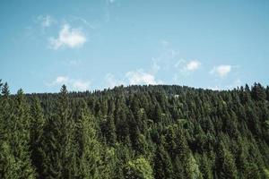 maestoso montagne nel il Alpi coperto con alberi e nuvole foto