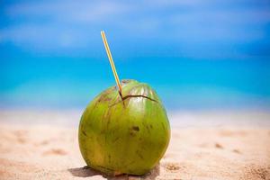 Visualizza di un' Noce di cocco su il spiaggia foto