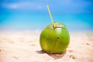 Visualizza di un' Noce di cocco su il spiaggia foto