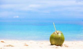 Visualizza di un' Noce di cocco su il spiaggia foto