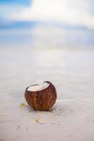 asciutto Noce di cocco su il spiaggia foto